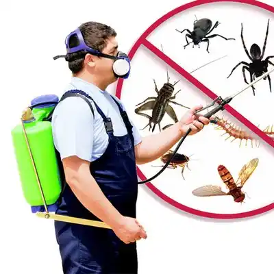 pest control Pasadena Park